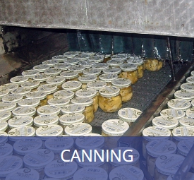 สั่งซื้อสายพานโมดูล่า CANNING