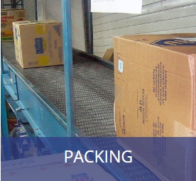 สั่งซื้อสายพานโมดูล่า PPACKING
